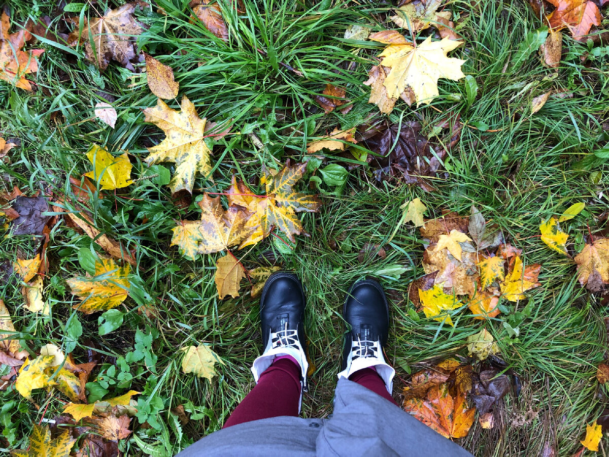 Всю неделю шли непрерывные дожди, если не ливень, то мелкая морось. Настроение от этого не становится лучше, когда начинается новый день, а за окном снова дождь.