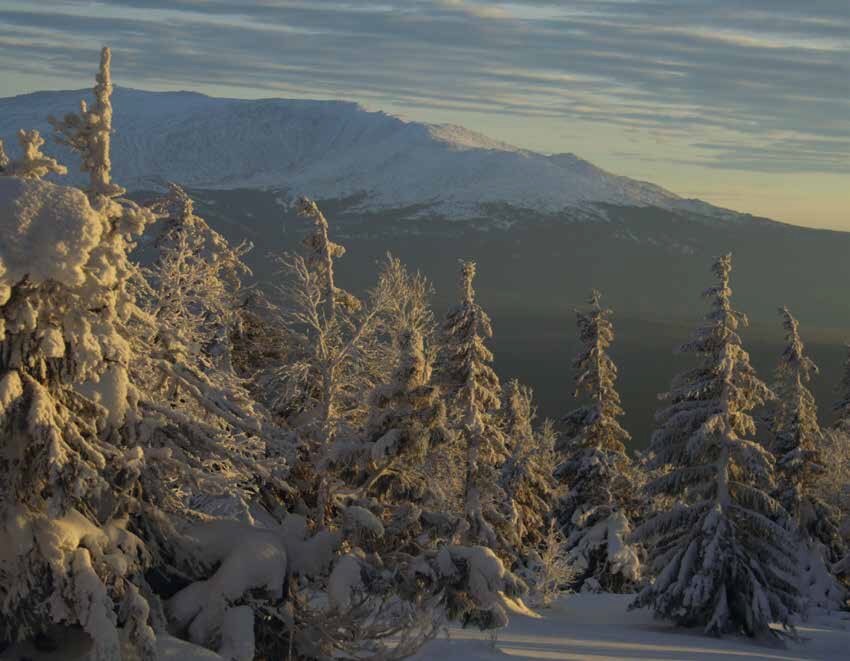 Массив Денежкина Камня, фото Максима Антипина из книги "Жил-был седой Урал"