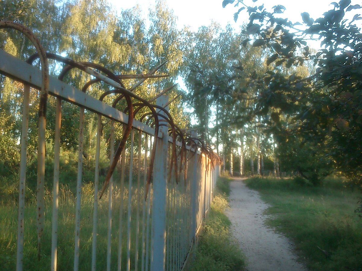 Фото из личного архива