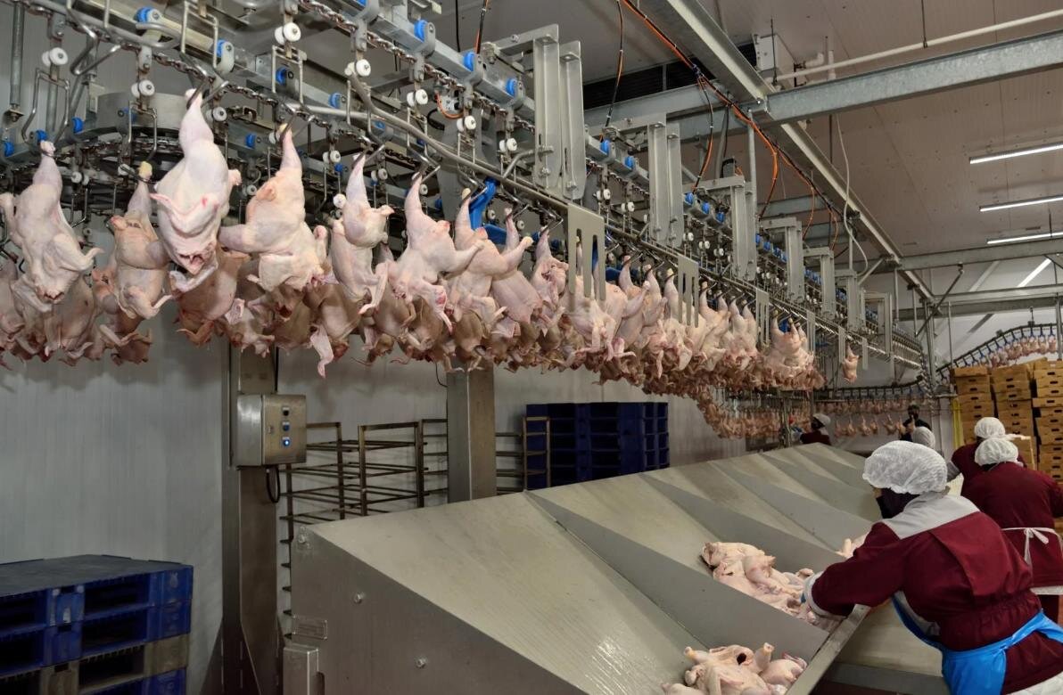 Стабилизация цен на рынке птицеводческой продукции обсуждалась в Минсельхозе