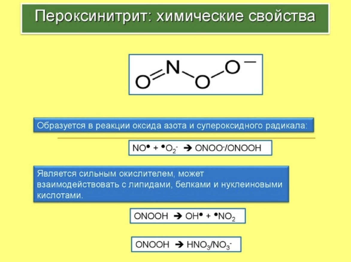 Химическим свойством является. Пероксинитрит. Пероксинитрит формула. Пероксинитрит Ион. Образование пероксинитрита.