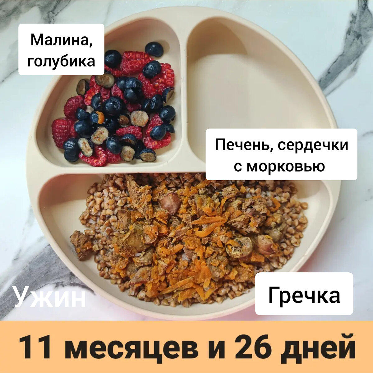 Пример тарелки в 11 месяцев 
