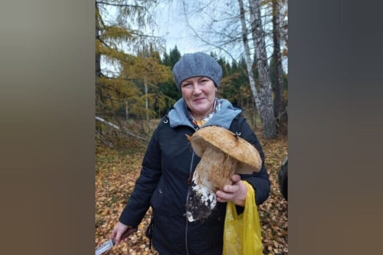    Белый гриб весом почти 1 килограмм нашла в лесу жительница Башкирии Белов Михаил Александрович
