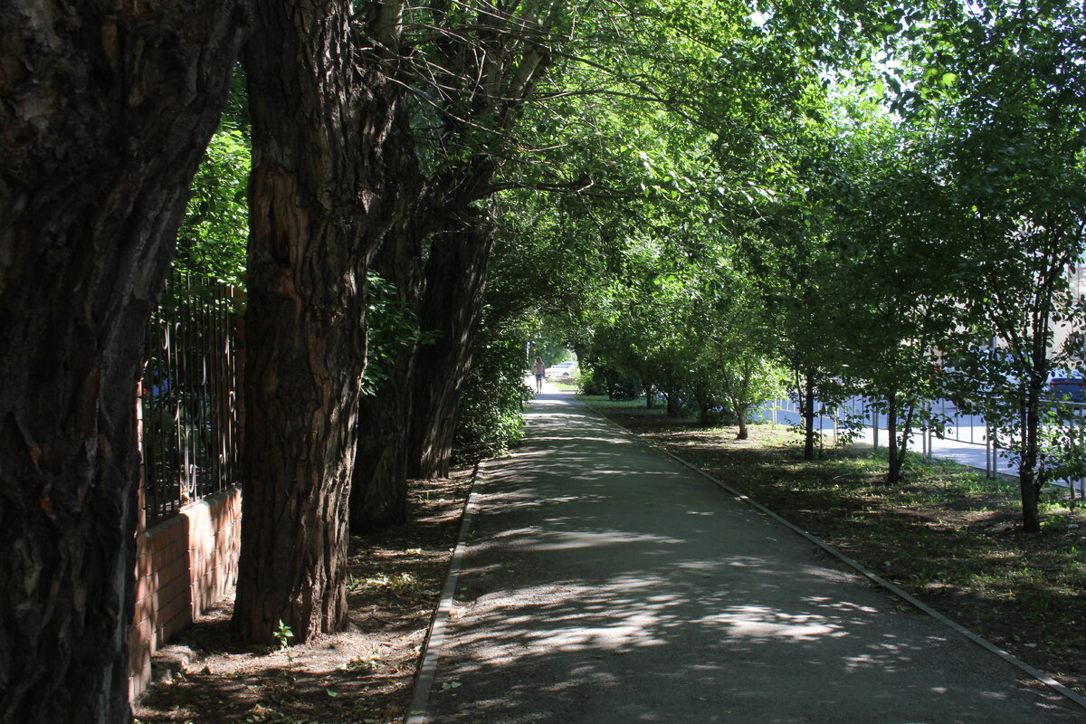 Недалеко от дома