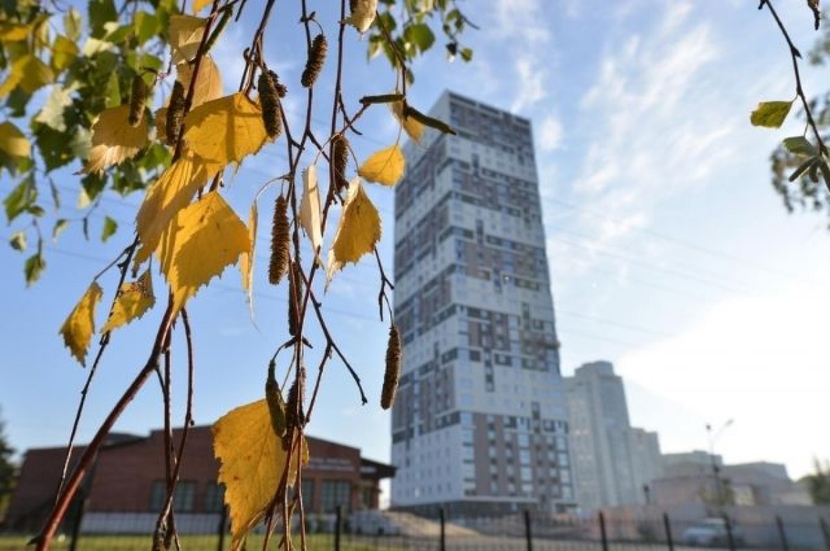    Скоро сдача.