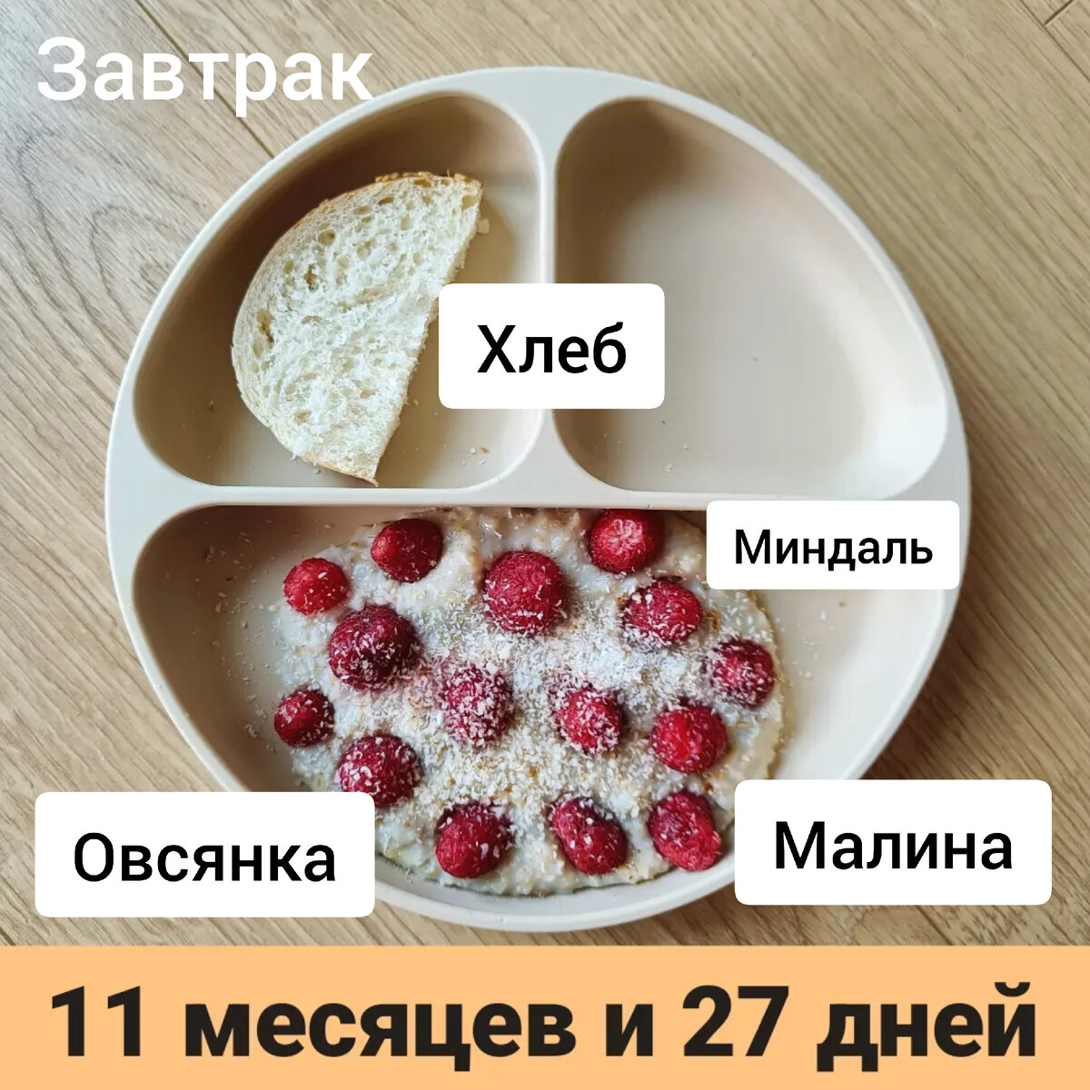 Пример тарелки в 11 месяцев 