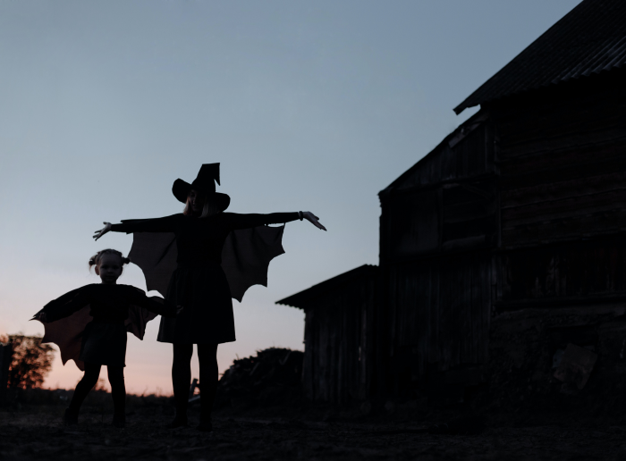 источник: pexels.com  