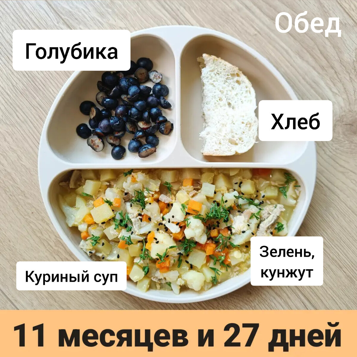 Пример тарелки в 11 месяцев 