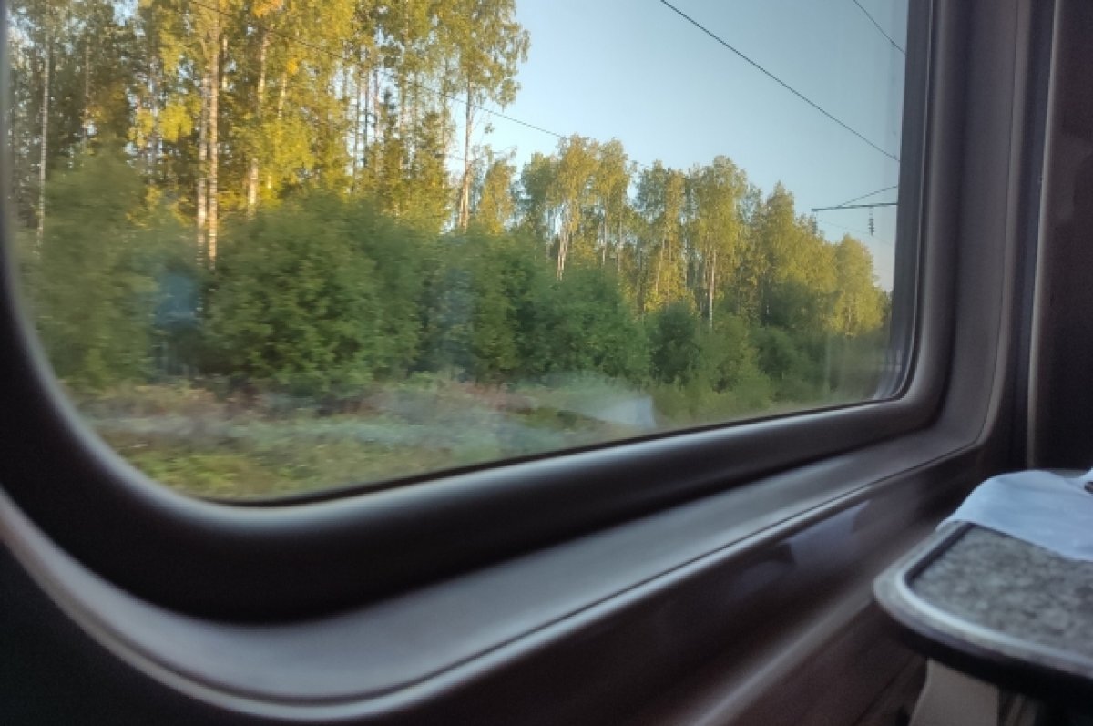    В Тверской области осудили пассажира поезда, который ударил полицейского
