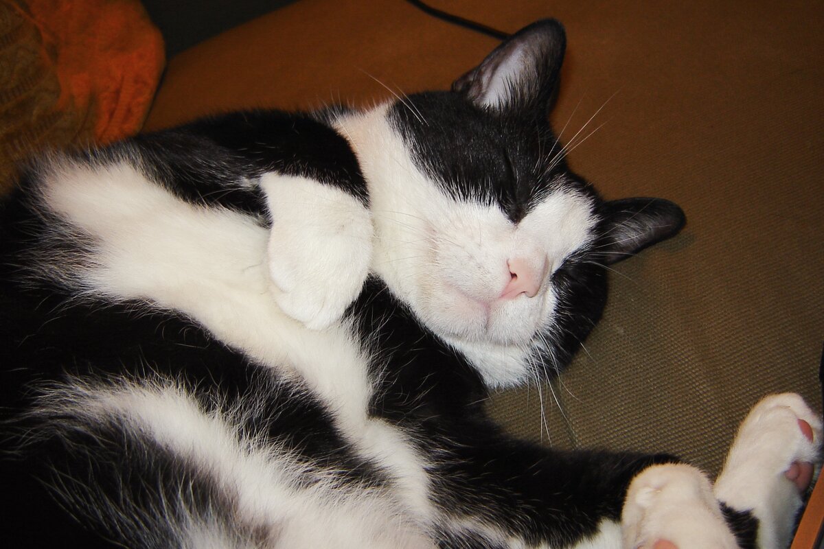 Фотография: Flickr, publicprivate, CC BY-SA.