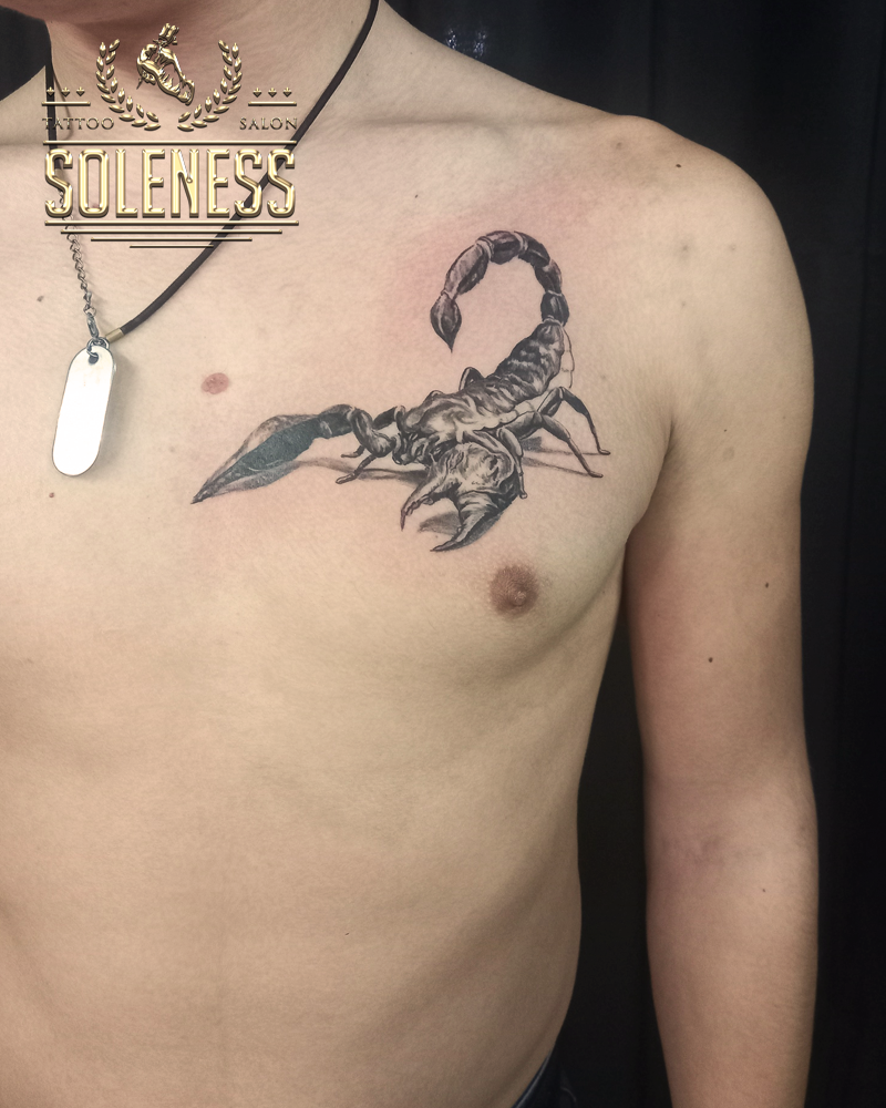 Скорпион тату эскиз. Эскизы татуировки Скорпион.