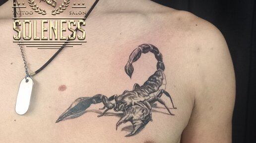 Татуировки скорпион (знак зодиака): значение и 23 фото