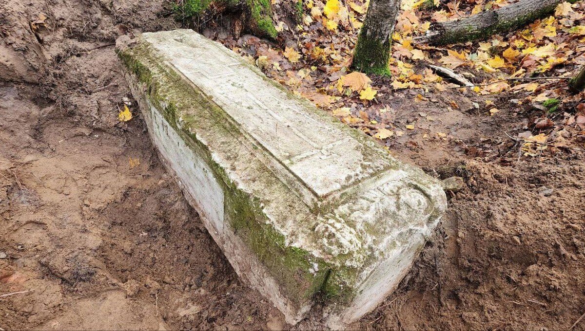 «Под столом у секретарши, красивые …» — создано в Шедевруме