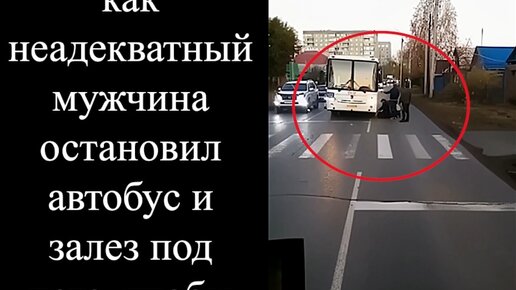 Видео о том, как неадекватный мужчина остановил автобус и залез под него, чтобы он не уехал.