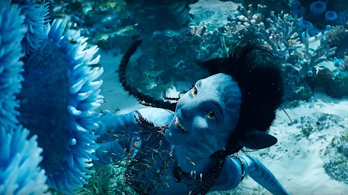 Фото с Яндекс