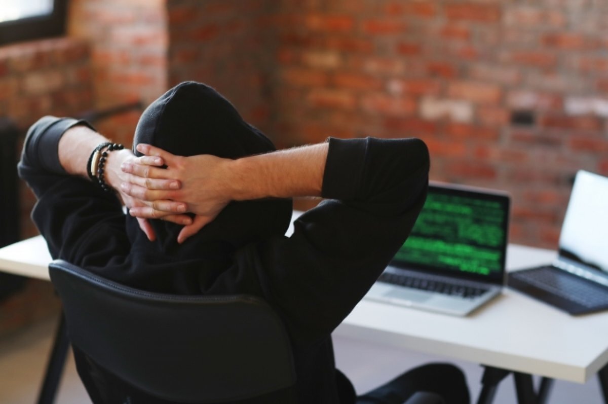    ФСБ предупредила о новых уловках мошенников ради личных данных