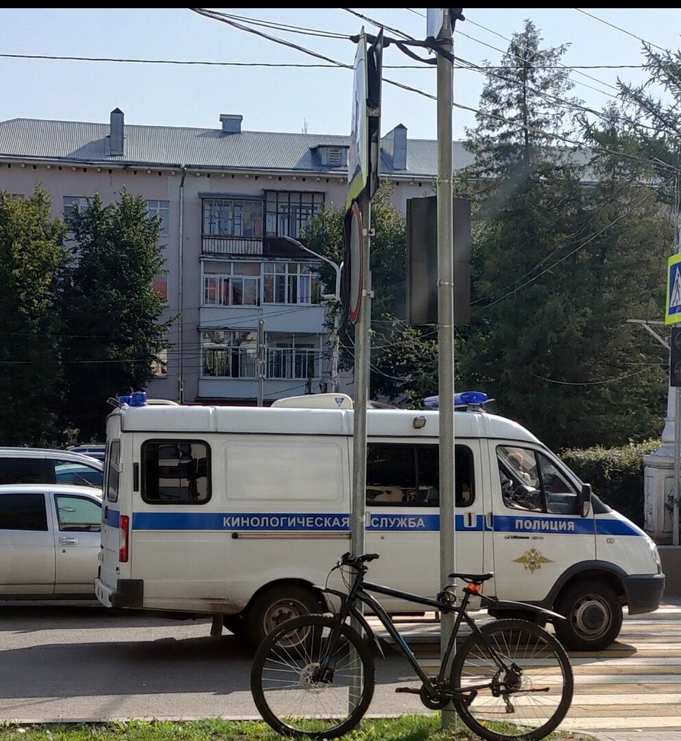 Фото: Елизавета Шмелёва