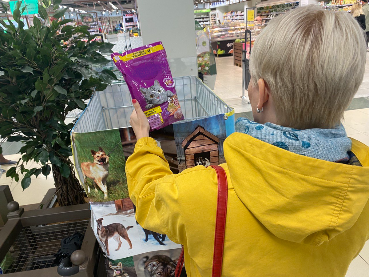    В Югре проходит зоозащитная акция «Погуляй-ка»