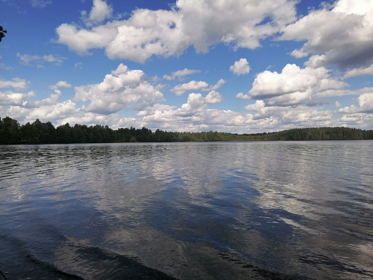 У каждого в жизни наступает момент когда опускаются руки и ничего не хочется делать и что-либо исправлять. Потому что уже начинаешь прокручивать в голове мысли что нет смысла и пробовать, ведь все равно не получится ничего или все как обычно будет плохо. И всегда возникает вопрос, как выйти из такого состояния. Не знаю как это делали другие, но знаю точно что выход есть всегда и просто у каждого все это происходит по-разному. Кому-то нужно время и смена обстановки, а кому-то просто поддержка и вера в себя. Сейчас когда уже этот этап пройден, если так конечно можно сказать. Я уяснил для себя пару вещей и благодаря этому жить стало намного легче и наконец-то получилось осознать и ощутить этот вкус жизни. Понятное дело что жизнь складывается из белых и черных полос. Но не нужно акцентировать внимание только на плохом и негативном. В первую очередь нужно изменить свое мышление и выгнать плохие мысли из головы. Ведь по себе знаю и проходил этот этап. Это работает словно огромный невидимый магнит. Ты думаешь о плохом и в голове только пессимистичные мысли, и сразу из ни откуда помимо своих нынешних проблем и неполных ситуаций появляются новые и как будто все это без остановки. А потом ты уходишь еще больше в себя и начинаешь задаваться вопросом, мол почему именно я? Поэтому нужно как бы там не было трудно и плохо, искать нотку позитива и подбадривать самого себя, а не закрываться в себе и делать еще хуже себе. Ведь помимо того что делаем хуже себе, не замечаю этого мы заставляем страдать близких и родных нам людей которые нас окружают. 