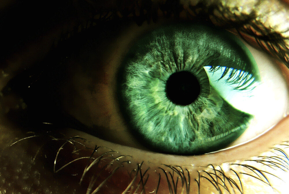 Глаз л. Зелёные глаза. Изумрудно зеленые глаза. Ярко зеленые глаза. Красивые зеленые глаза.