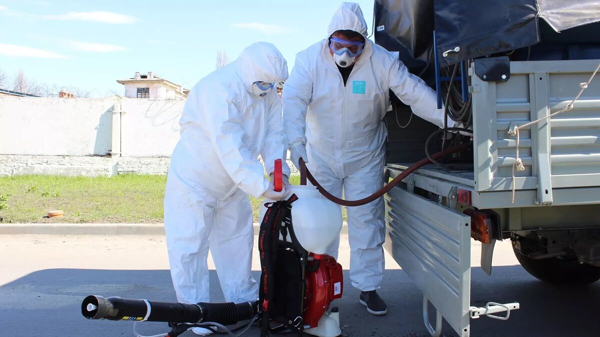     В Таганроге в больнице скорой медицинской помощи провели проверку после жалоб пациентов на насекомых, сообщают СМИ.