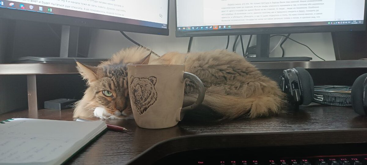 Сплю у клавикотуры. Хорошо!