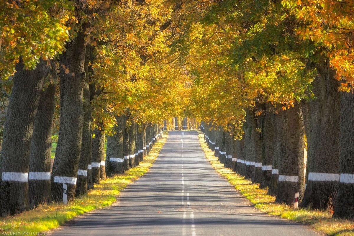 Проселочные дороги выглядят так