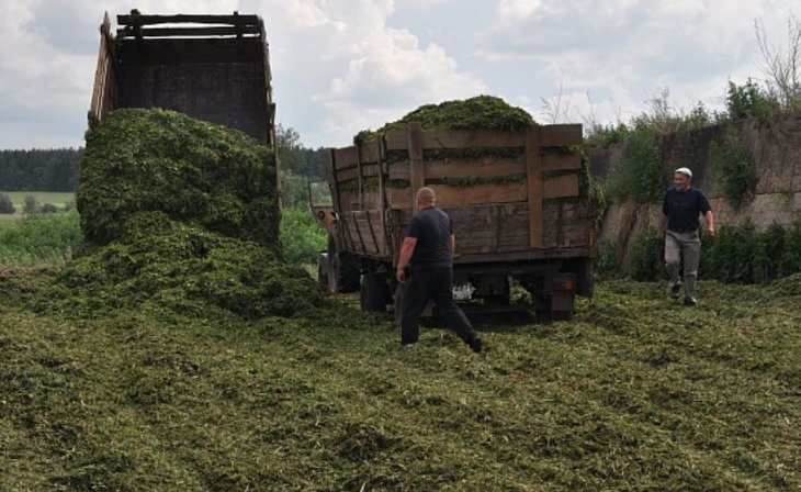    Как преуспеть в развитии семейной фермы – опыт башкирского агрария
