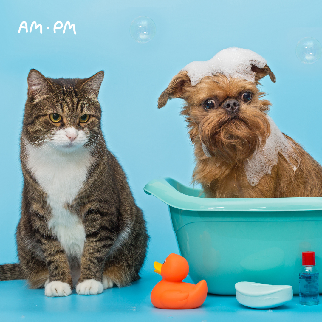Источник фото: Canva 