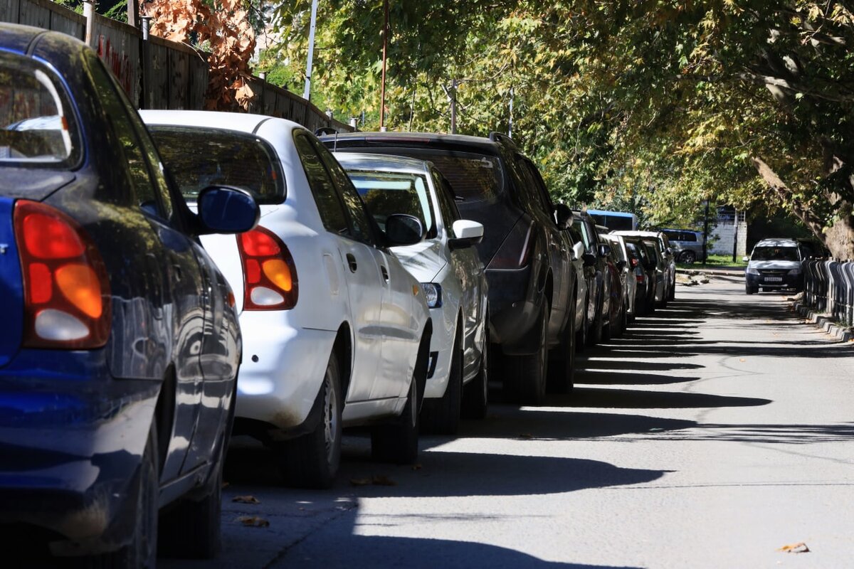 Фото: Наталья Сомова