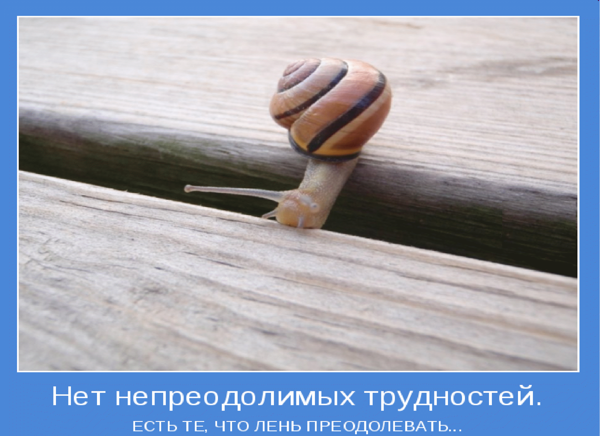 Возможно это не много. Позитивная мотивация картинки. Позитивные высказывания. Прикольные мотиваторы в картинках. Приколы мотиваторы в картинках