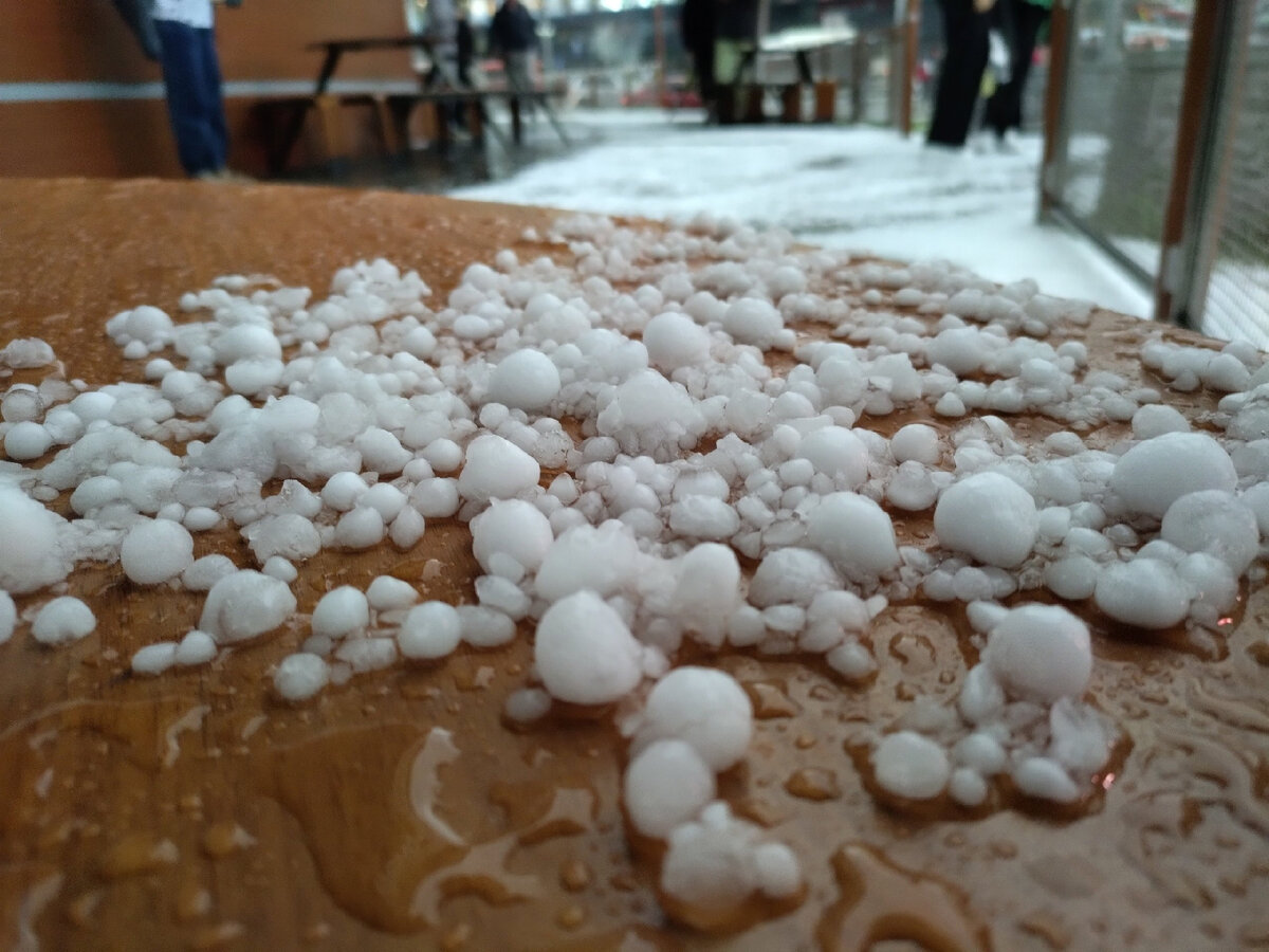 Фото: Густаво Зырянова