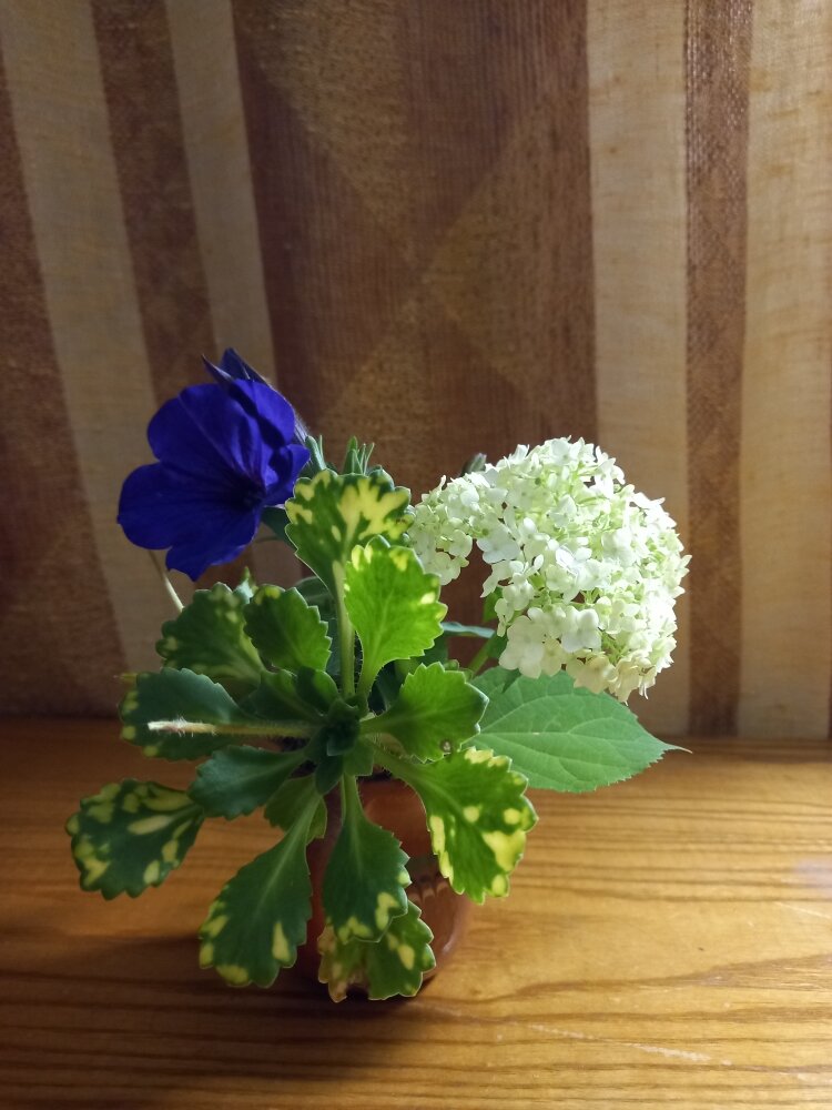 2. Юлия Нессер