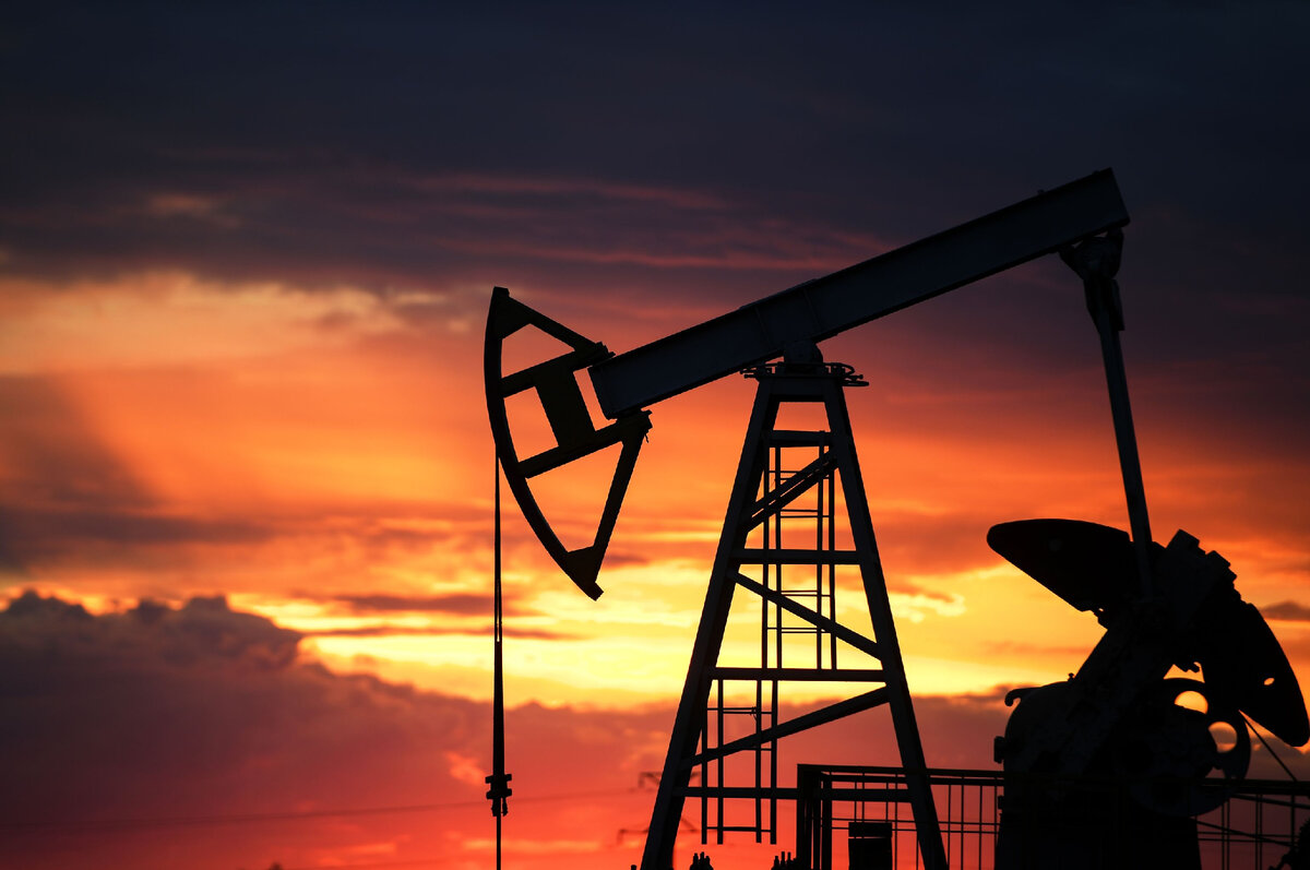 Нефтяная качалка // Sputnik / Максим Богодвид
