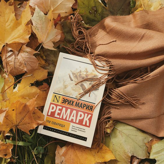 Источник: pinterest.com