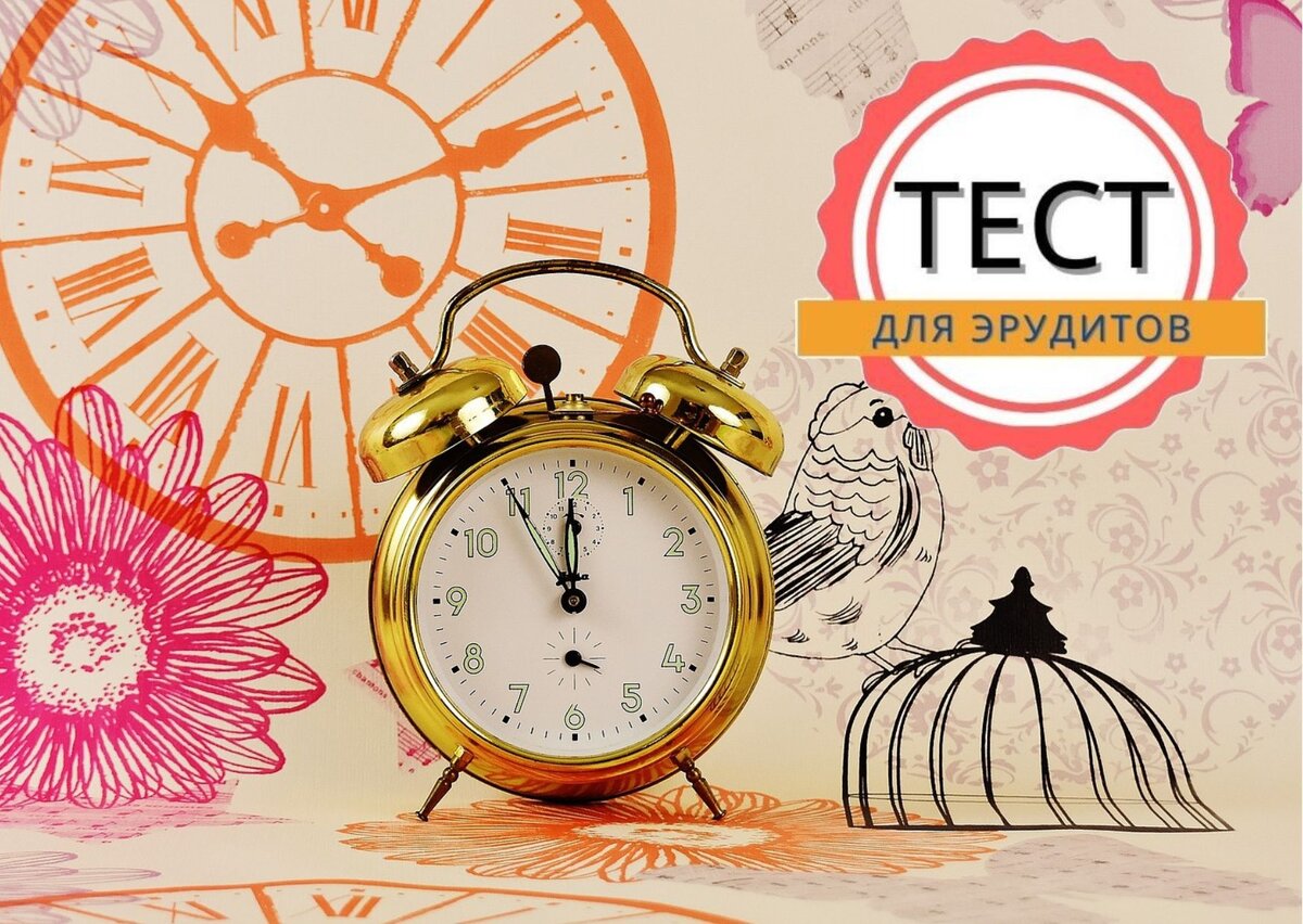 Источник изображения: pixabay.com, дизайн автора публикации