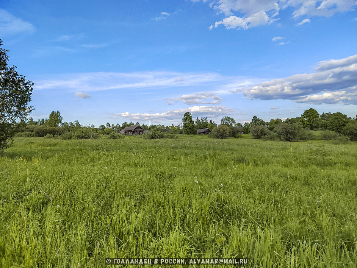 Вот они. Фото: Голландец в России.