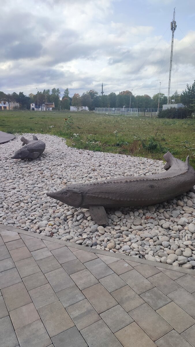 Санкт-Петербург. Прогулка по Петроградской стороне | Солнце светит всем |  Дзен