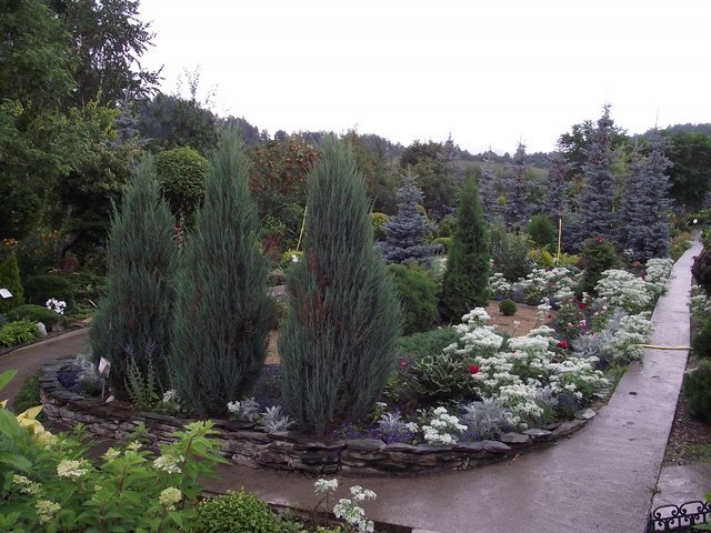 Алтайский дендрарий в алтайском селе "Алтайское". Фото из личного архива автора (С), 2019 год