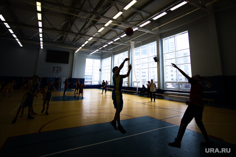    Внимание уделять пяти новым видам спорта