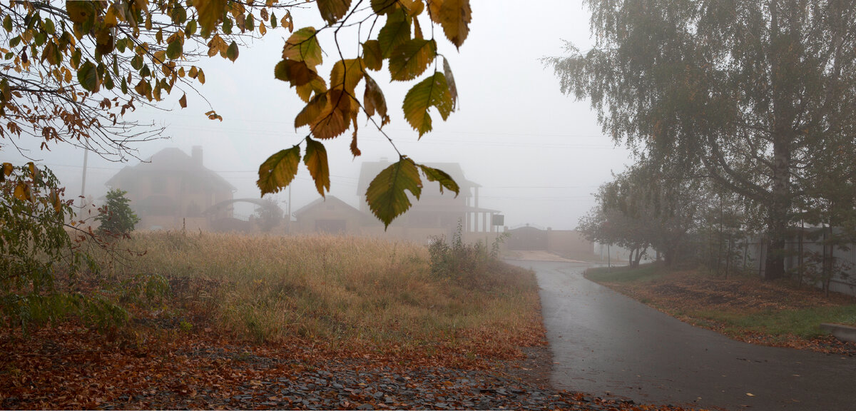 Фото: Nikolay Gyngazov/Globallookpress