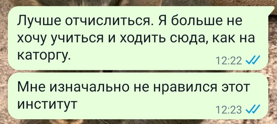 Скриншоты с электронной дощечки, демонстрирующие вам все мои внутренние конфликты и стенания (фото автора)