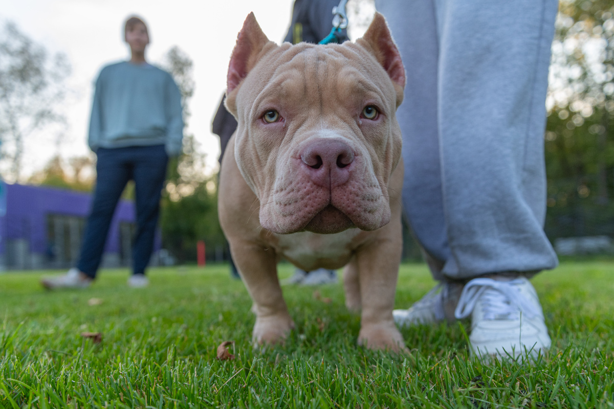 Архив Мой район 