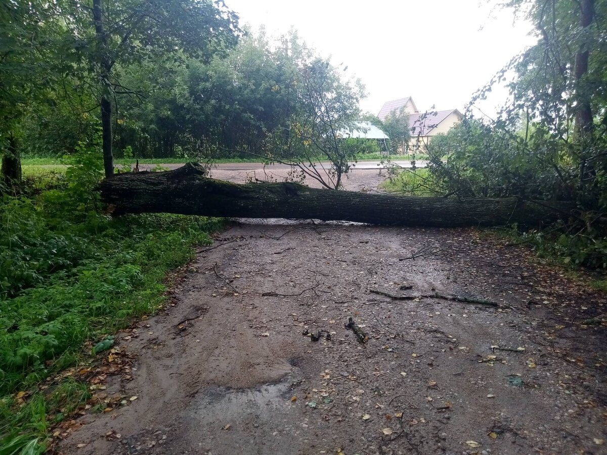Дальше дороги нет. Пока не поймешь
