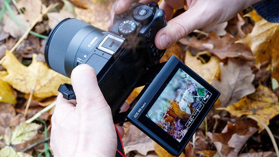Моя EOS M6 Mark II в деле