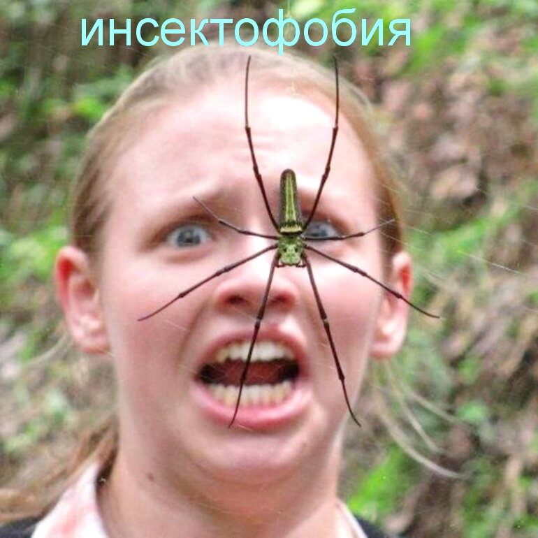 Рассмотрим конкретный пример, боязнь насекомых. По научному это явление называется инсектофобия. Речь не идёт о боязни комаров, которые могут покусать и доставить массу проблем, это нормально. Вот если человек с незапамятных времён избегаете не только этих кусачих кровопийц, но и вообще избегаете или даже убегаете от жучков, паучков, мошек, мотыльков и т.д…  Когда и как у него это началось, человек не помнит. Но дискомфорт нахождения в одном помещении с летающей мухой, которую не словить, может перерасти в истерику. Человек ходил по всем врачам, психологам и может даже психиатрам, но инсектофобия осталась. А потом узнал, что его проблему можно решить у гипнолога, потёр руки и сходил на сеанс. В качестве проверки зашёл в сарай с мухами и …..   чуда не случалось, отвращение к мухам не пропало. Встаёт вопрос – почему?  Да потому, что эта фобия в человеке росла годами, развивалась и крепла, укреплялась и прогрессировала. Боязнь насекомых стала у человека уже рефлексивной. И в один миг даже самый опытный гипнолог на земле её у него не уберёт. Что же делает гипнотизёр для избавления от инсектофобии? Во - первых, находит момент, когда эта психосоматика залегла в мозг человека. К примеру, это может быть ночь в палатке в лесу, где его покусали комары и он проснулся с муравьями мод майкой. Мозг после такого стресса решает, что все насекомые враги и закладывает в подсознание психосоматику, которая и является источником последующей инсектофобии. Но сразу после этого случая, как бы ничего и не произошло, человек половил рыбу или пособирал грибы, вернулся домой и этот случай, естественно, забыл. Но не забыло подсознание, не забыл мозг. Каждый раз, когда этот человек потом будет сталкиваться с насекомыми, на подсознательном уровне мозг сигнализирует об опасности, далее в дело вступают гомоны, вплоть до адреналина и человеку дискомфортно, человеку страшно. Дальше в лес, больше дров! Мозг идентифицируя любое насекомое, даже на большом расстоянии, сигнализирует об опасности для жизни и гормонами заставляет человека избежать насекомого. С годами процесс перерастает в устойчивую инсектофобию. Так вот когда гипнолог нашёл первопричину боязни насекомых, то есть ночёвку человека в палатке, о которой он к моменту визита к гипнотизёру, конечно, напрочь забыл, он её обнуляет. Обесценивает в глубоком состоянии гипноза. Тем самым перестраивает работу мозга на новый лад, а точнее на старый. После этого обнуления мозг уже не вбрасывает адреналин и другие гормоны и не считает всех насекомых врагами. Но рефлексы человека никуда не делись боязнь насекомых осталась, хотя страха он уже не испытывает, гормоны ведь не поступают.