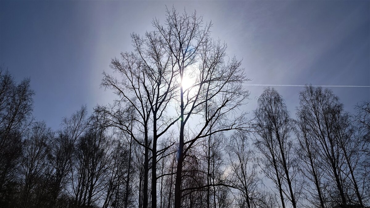 ФОТО: Николай Курилов / МК-Урал