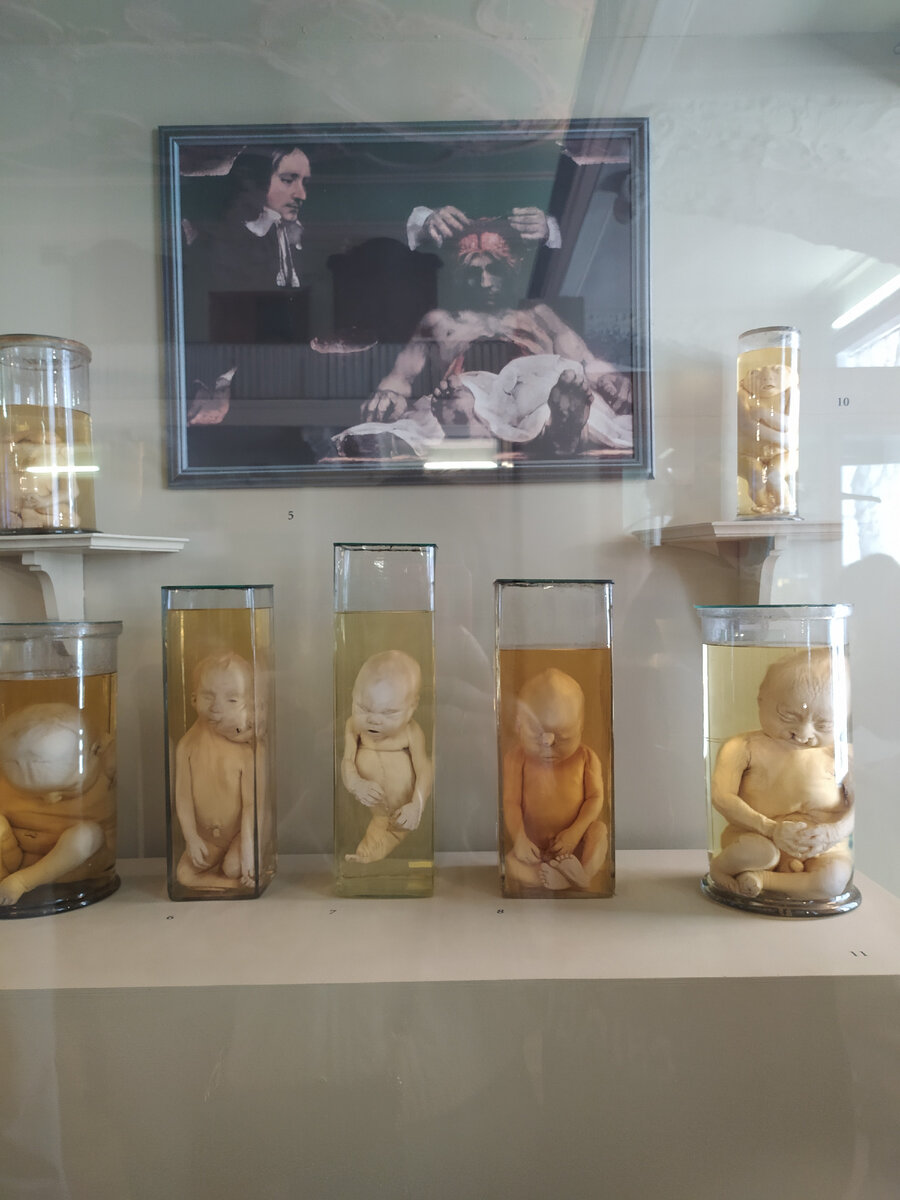 Экспонаты (фото автора)/листайте далее