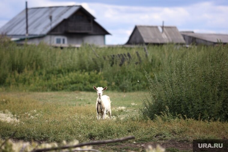    Депутаты предложили изменить оскорбительные названия сел