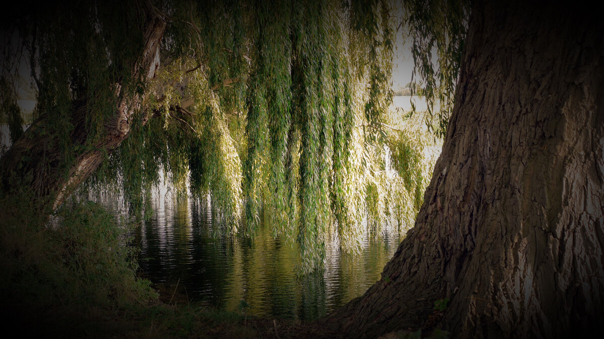 Фото: samsdelalkak.ru